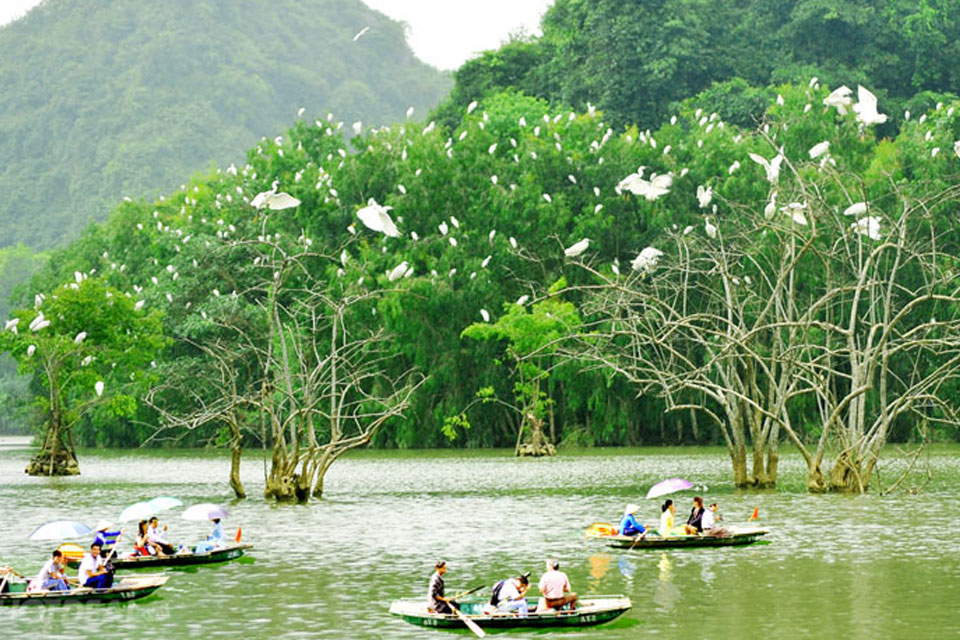 HÀ NỘI - TAM CỐC   THUNG NHAM NINH BÌNH